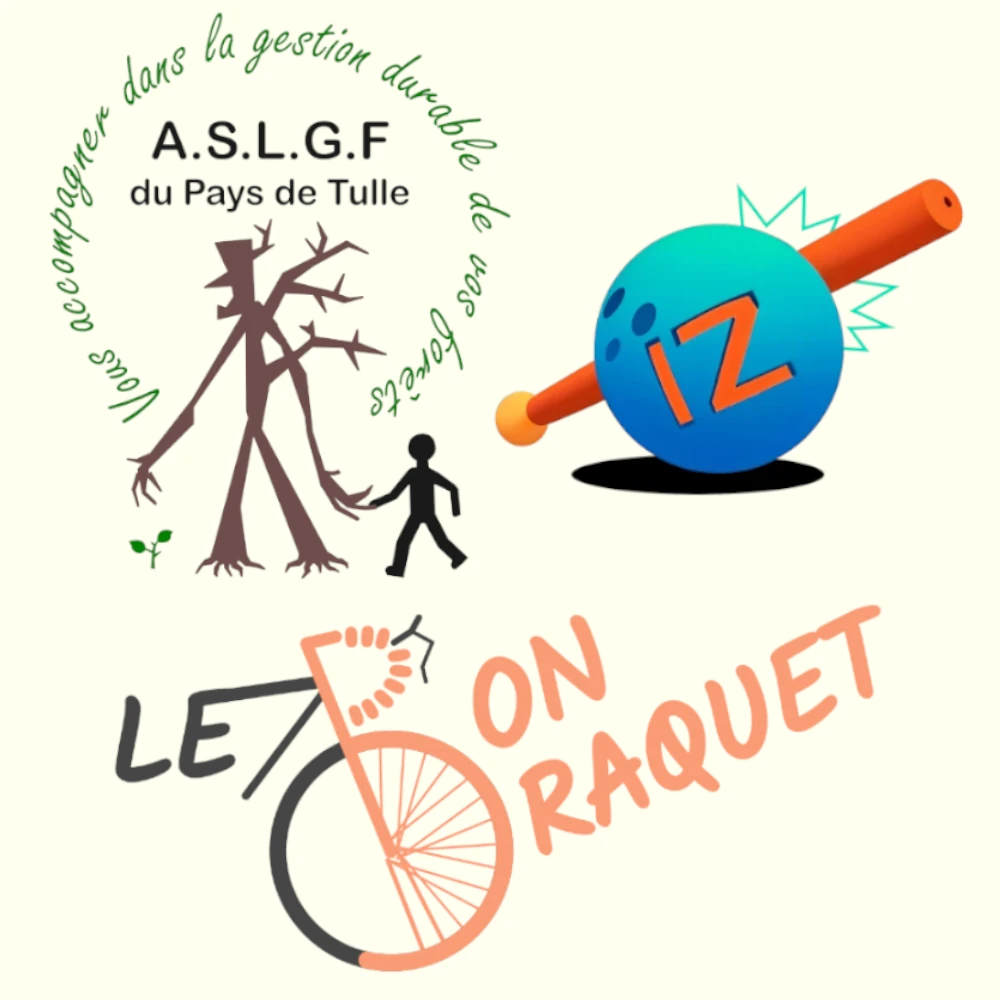 Exemples de logos originaux conçus sur mesure par l'agence web